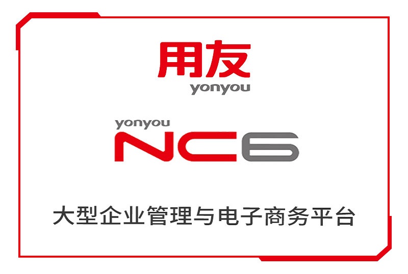 用友NC6——大型企业/集团企业应用平台
