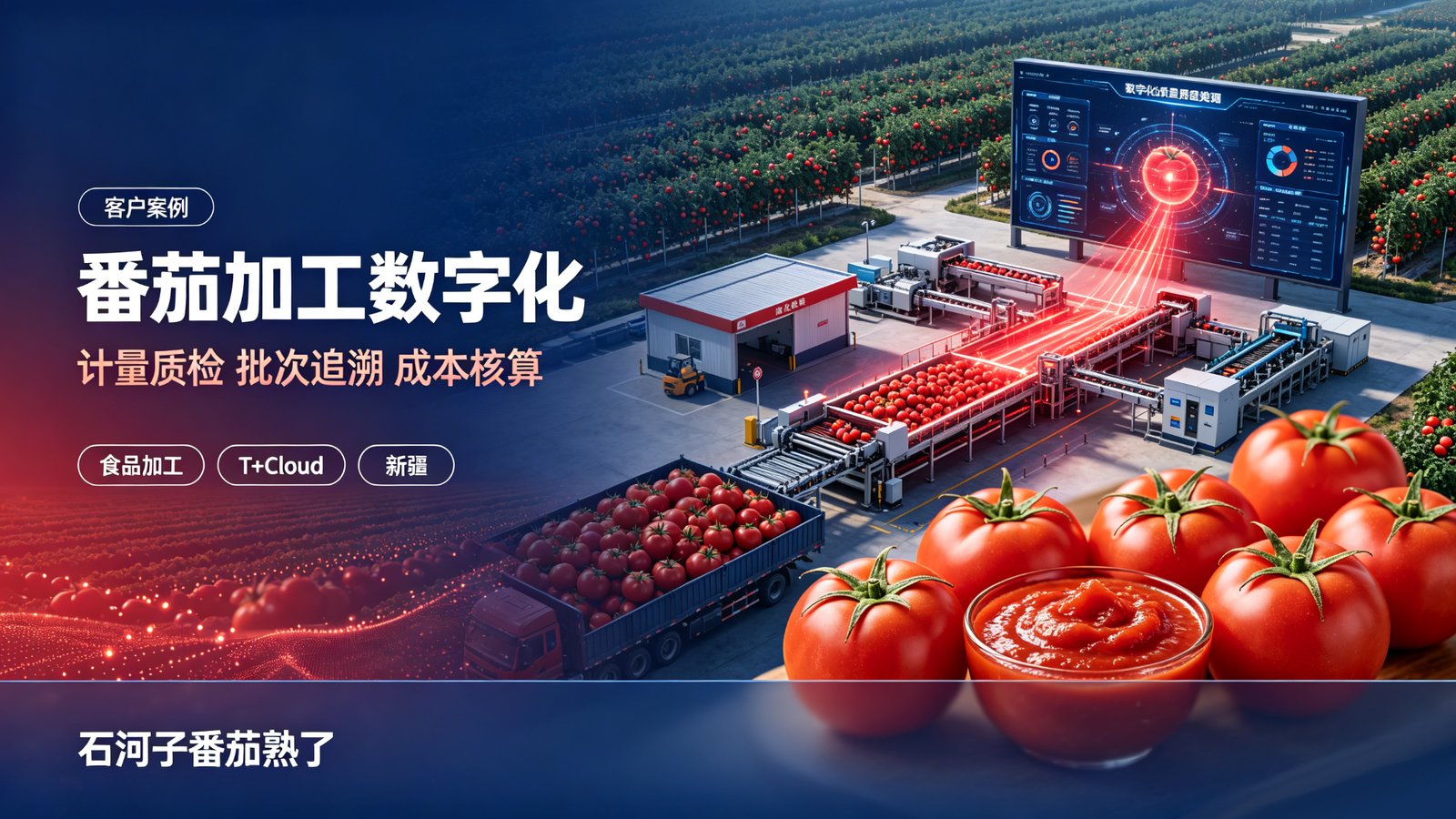 石河子番茄熟了数字化平台项目